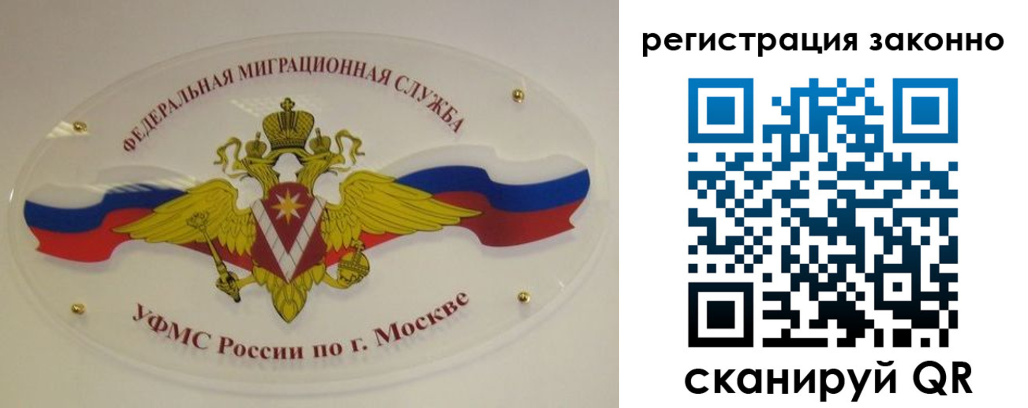 прописка для школы в Шахунье